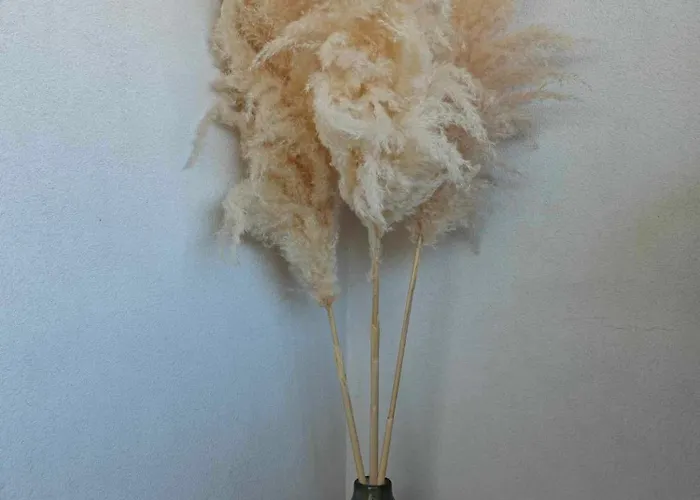 Mantalena's House Apartment *