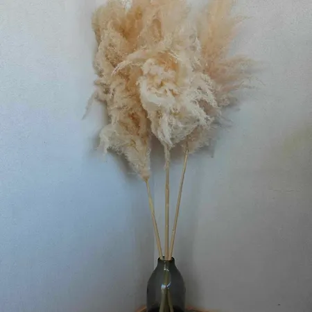 Mantalena's House Διαμέρισμα *